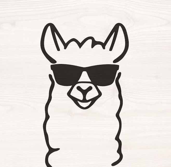 Avatar for Affirmation Alpaca